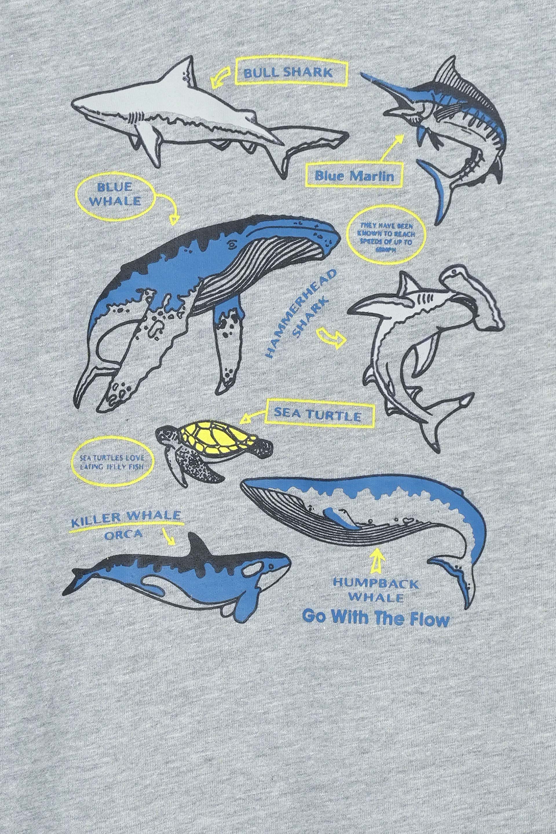 Shirt And T-Shirt Set (SST-167) - Image 4