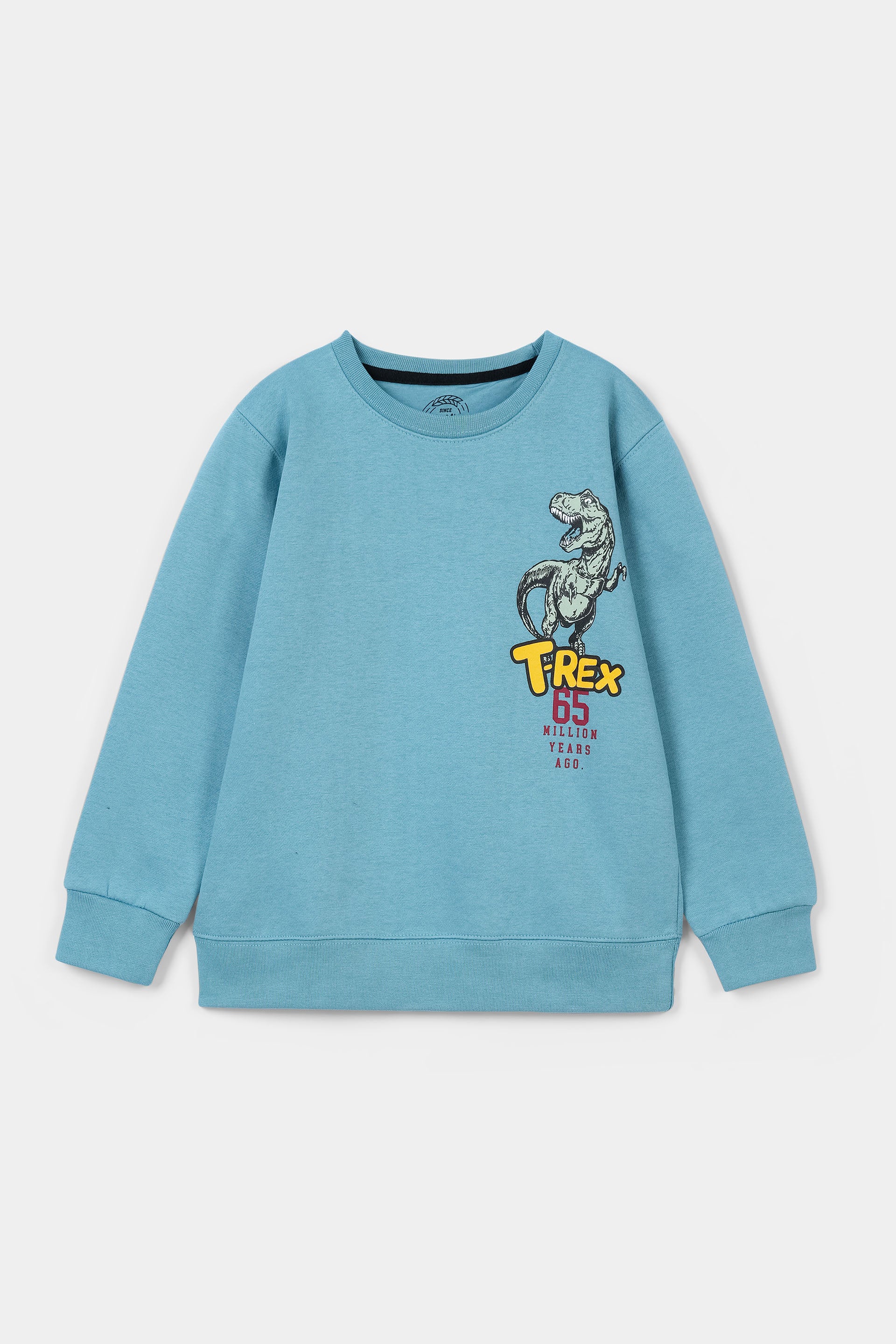 Sweatshirt (BKTF-061)