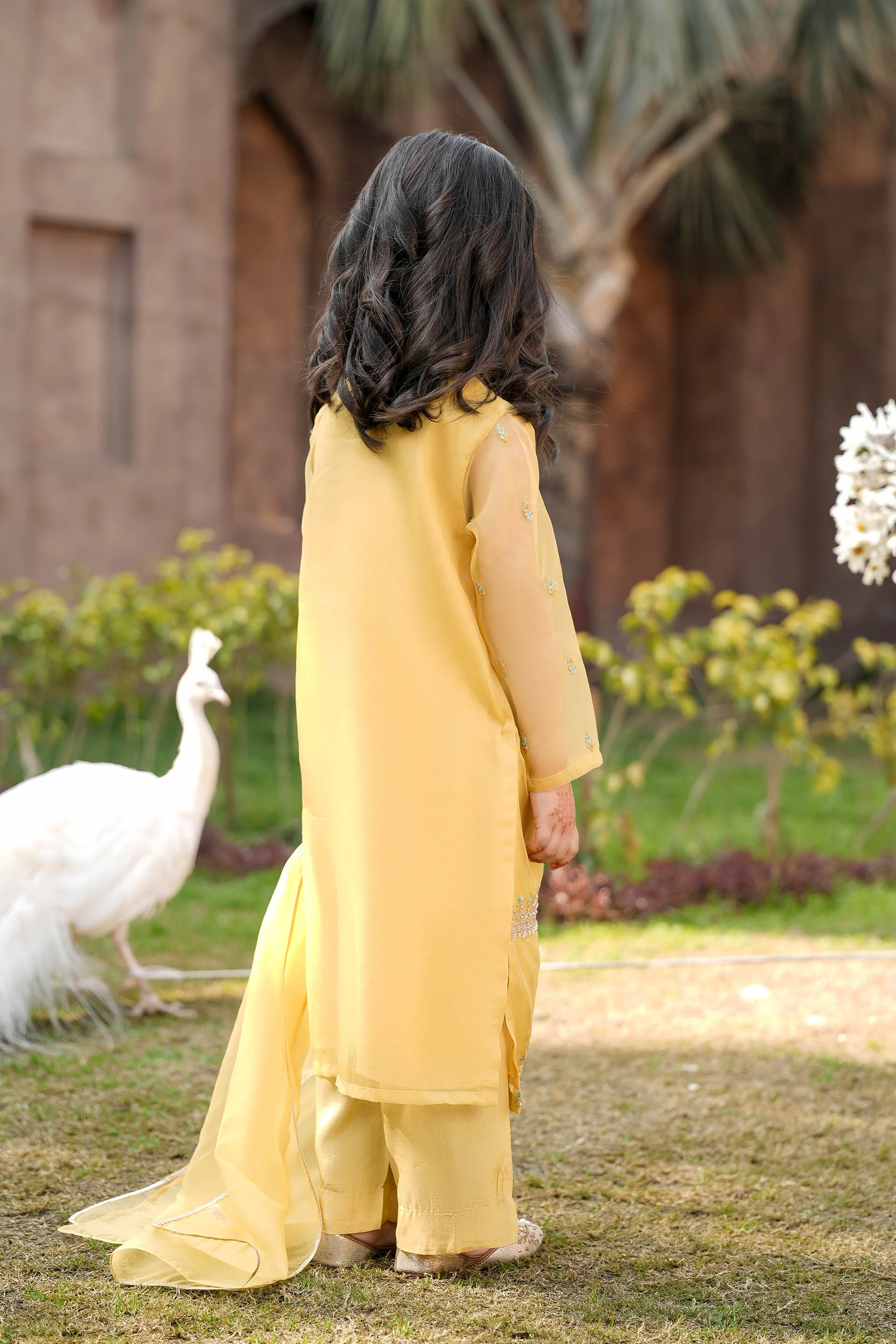 Embellished Kameez & Trousers With Dupatta (GPW-1157) - Image 4