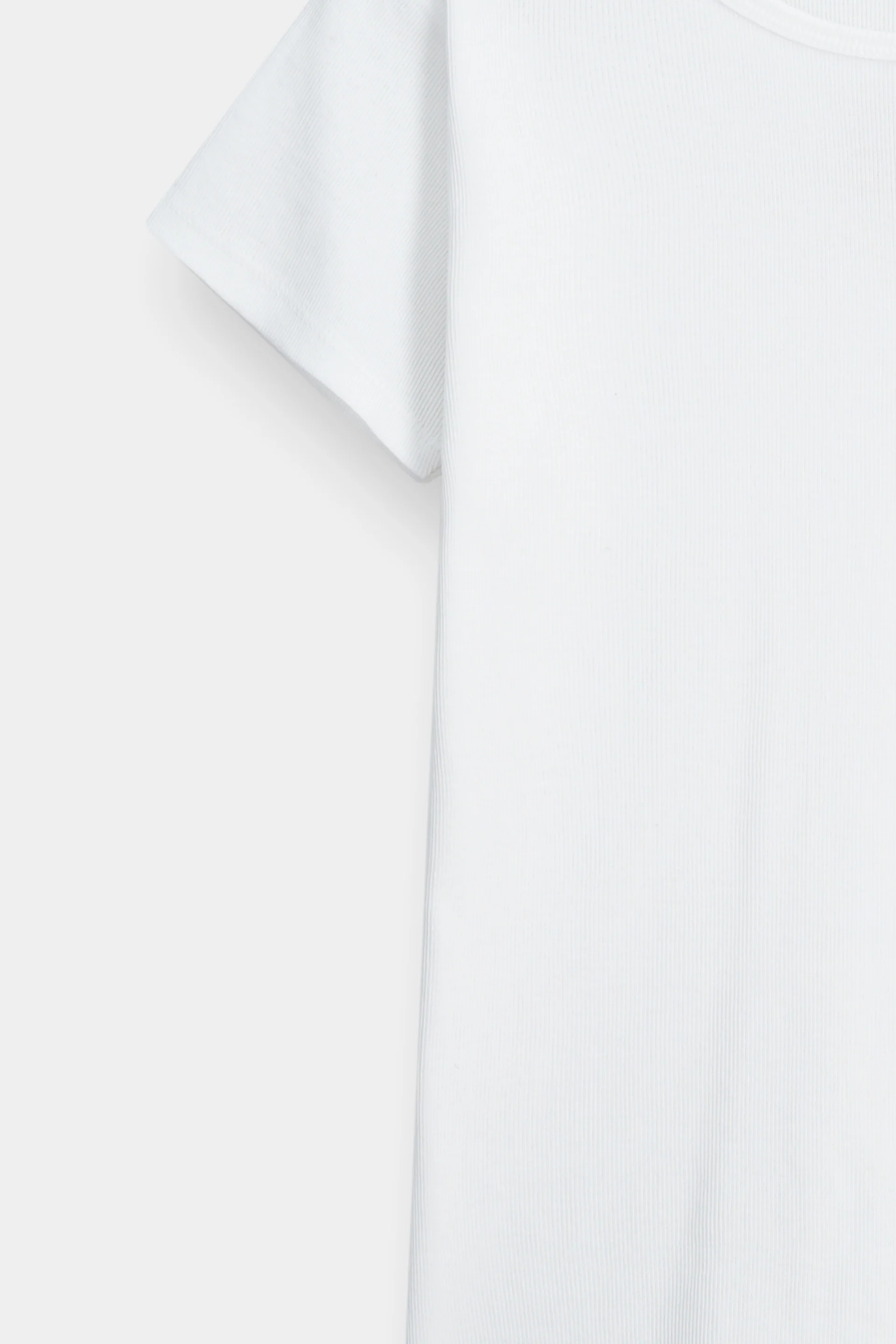 Fitted Rib T-Shirt (SSGK-648) - Image 3